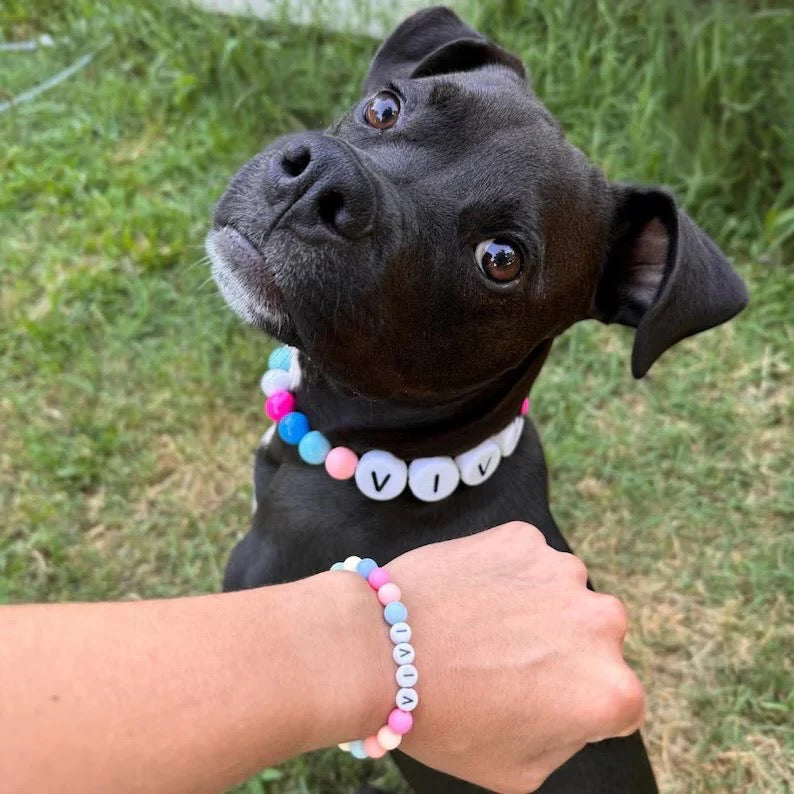 Friendship Collar & Bracelet Set